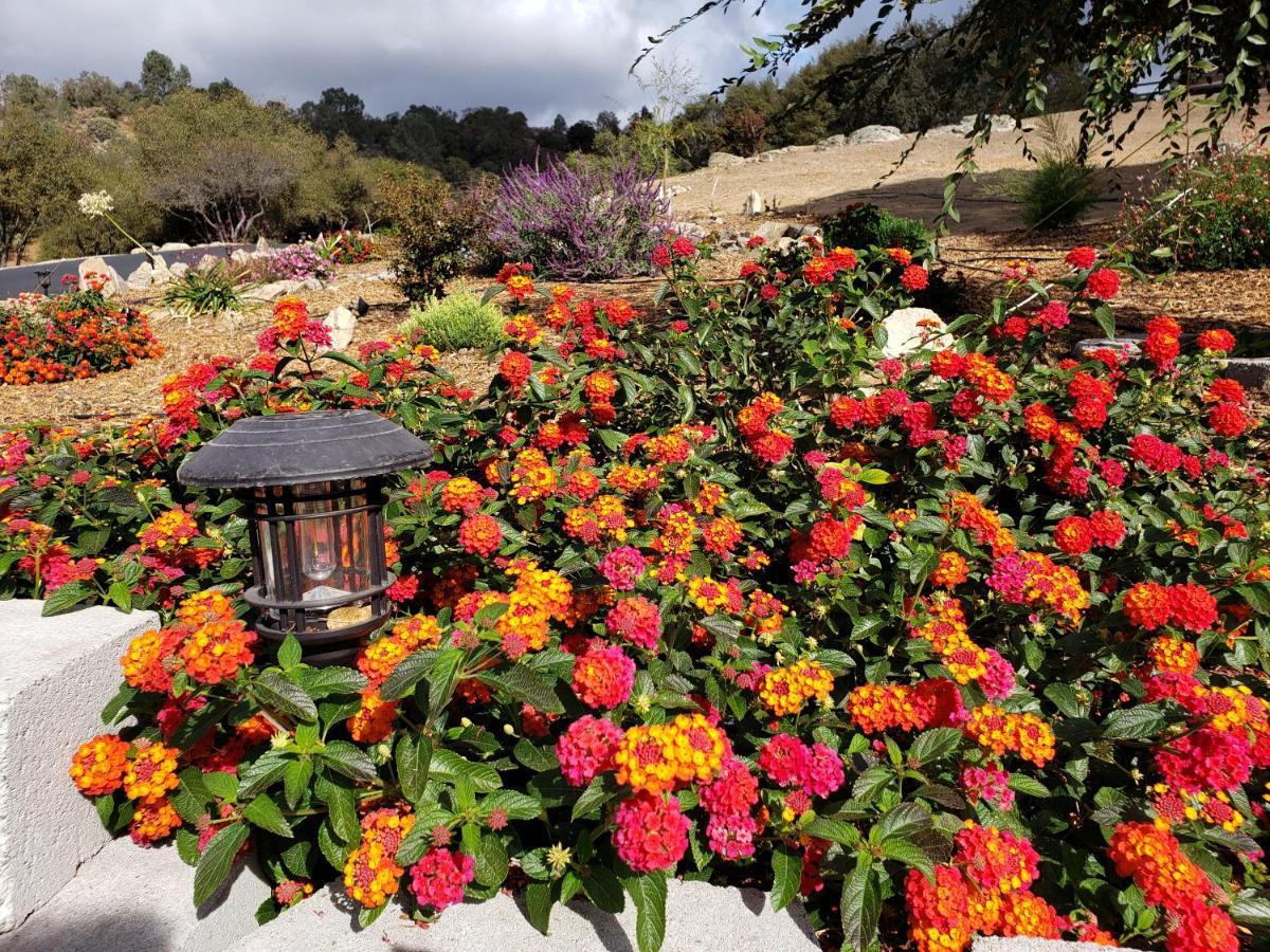 Yosemite Foothill Retreat - Private Guest #2 *